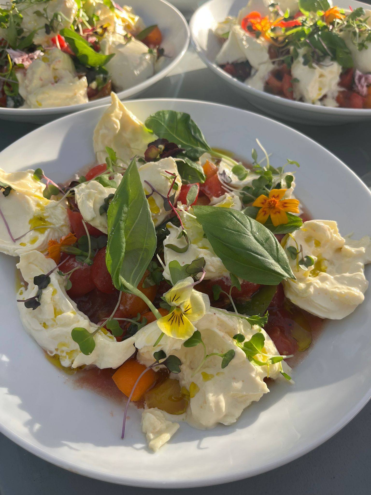 Ant North gallery photo 3