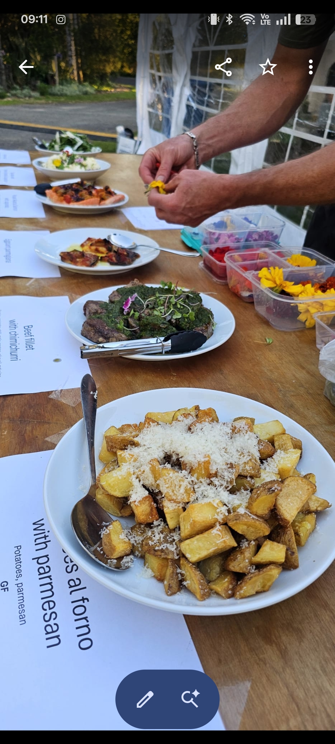 Ant North gallery photo 9