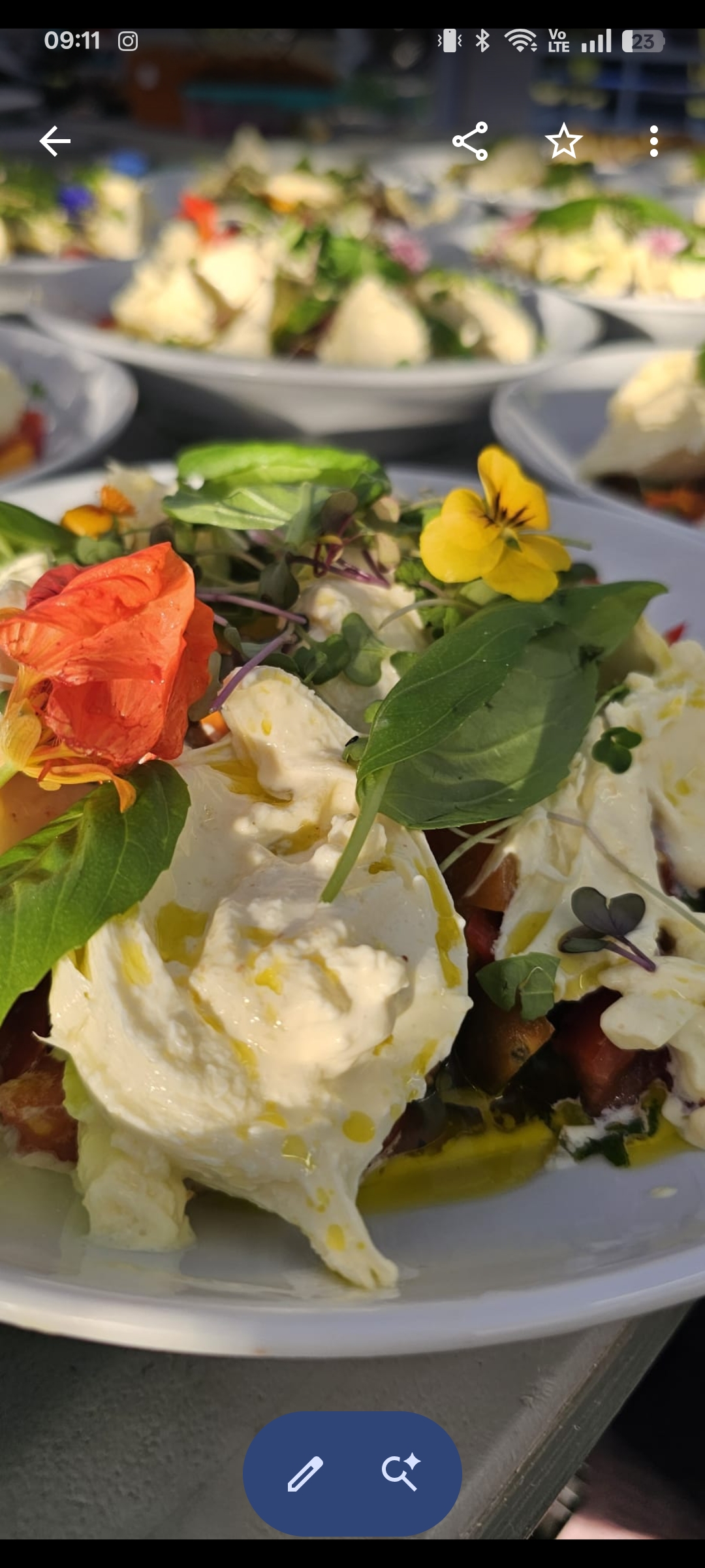 Ant North gallery photo 10