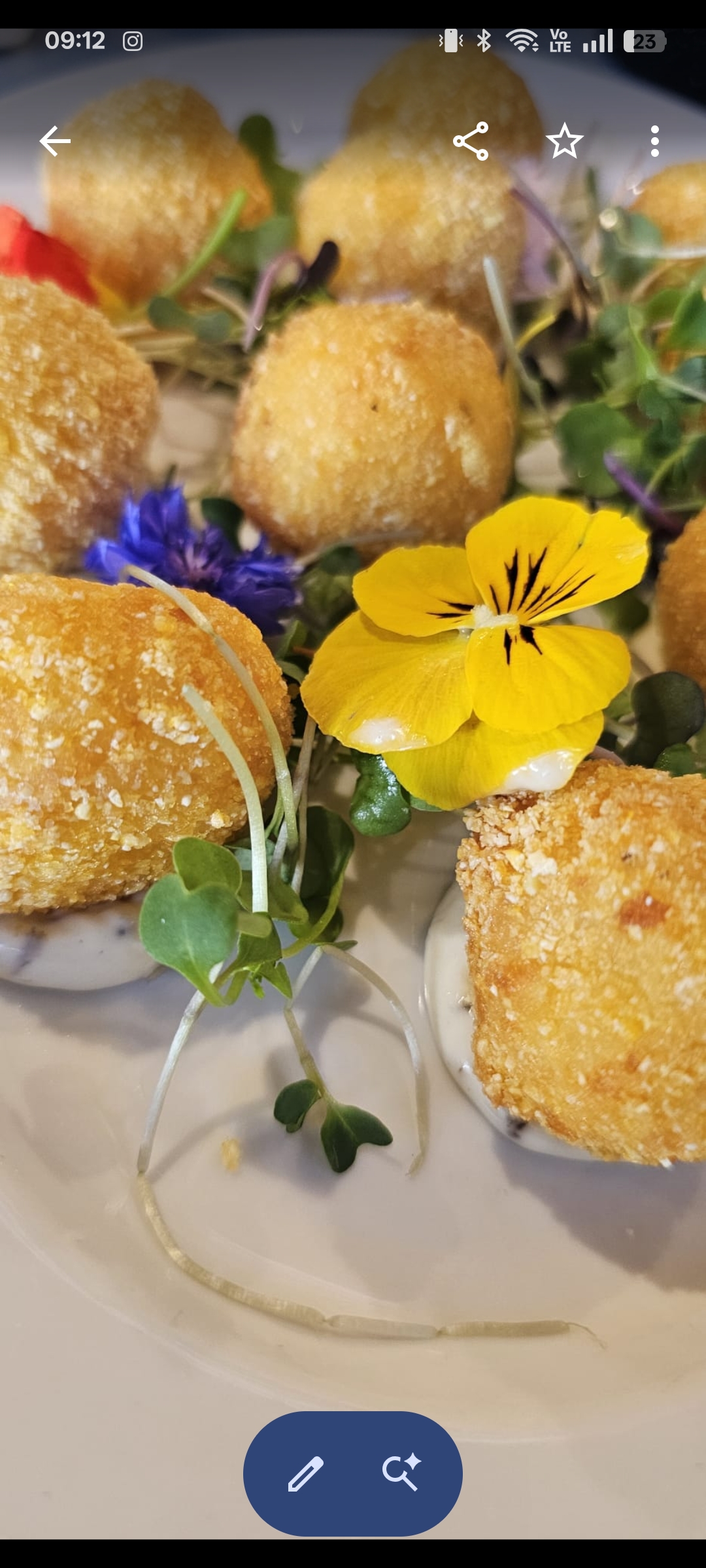 Ant North gallery photo 13