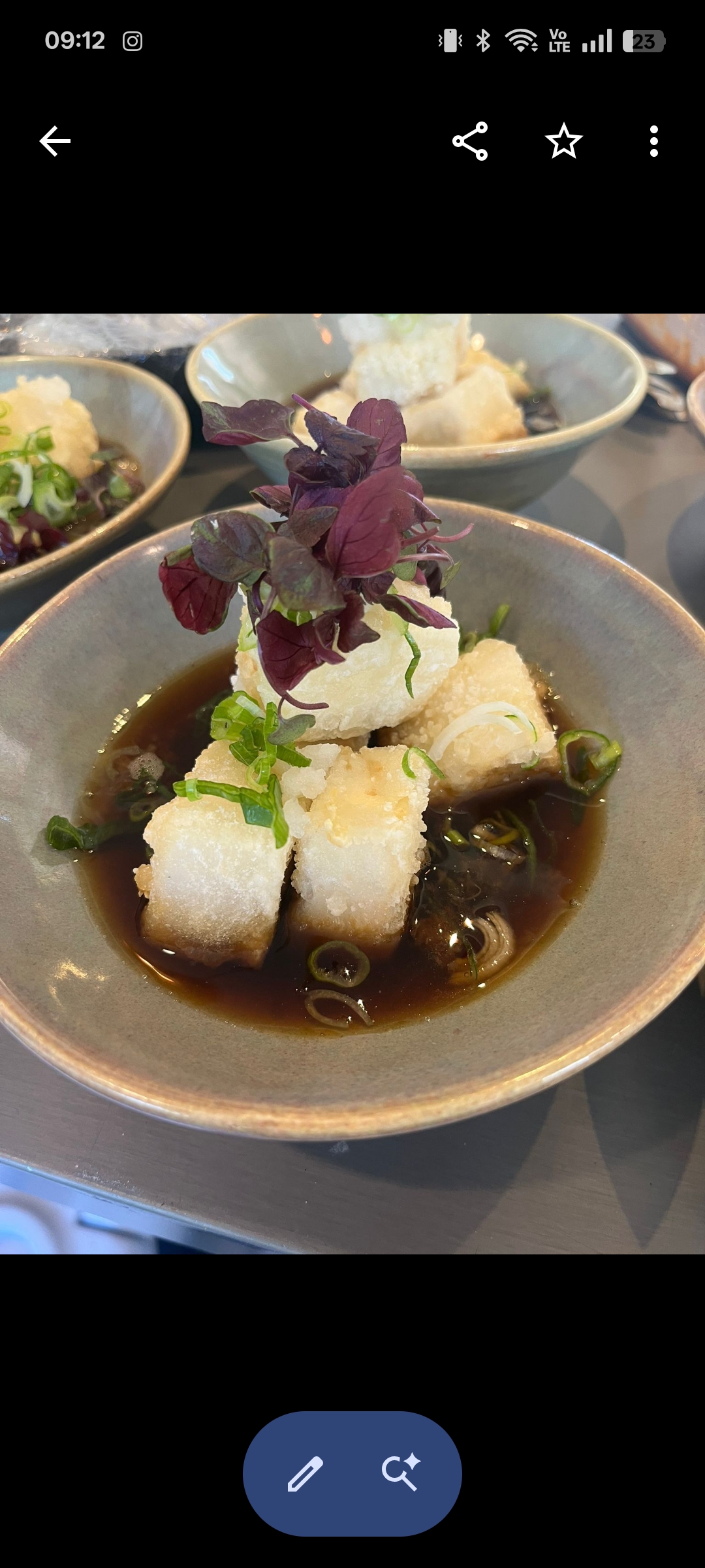 Ant North gallery photo 15