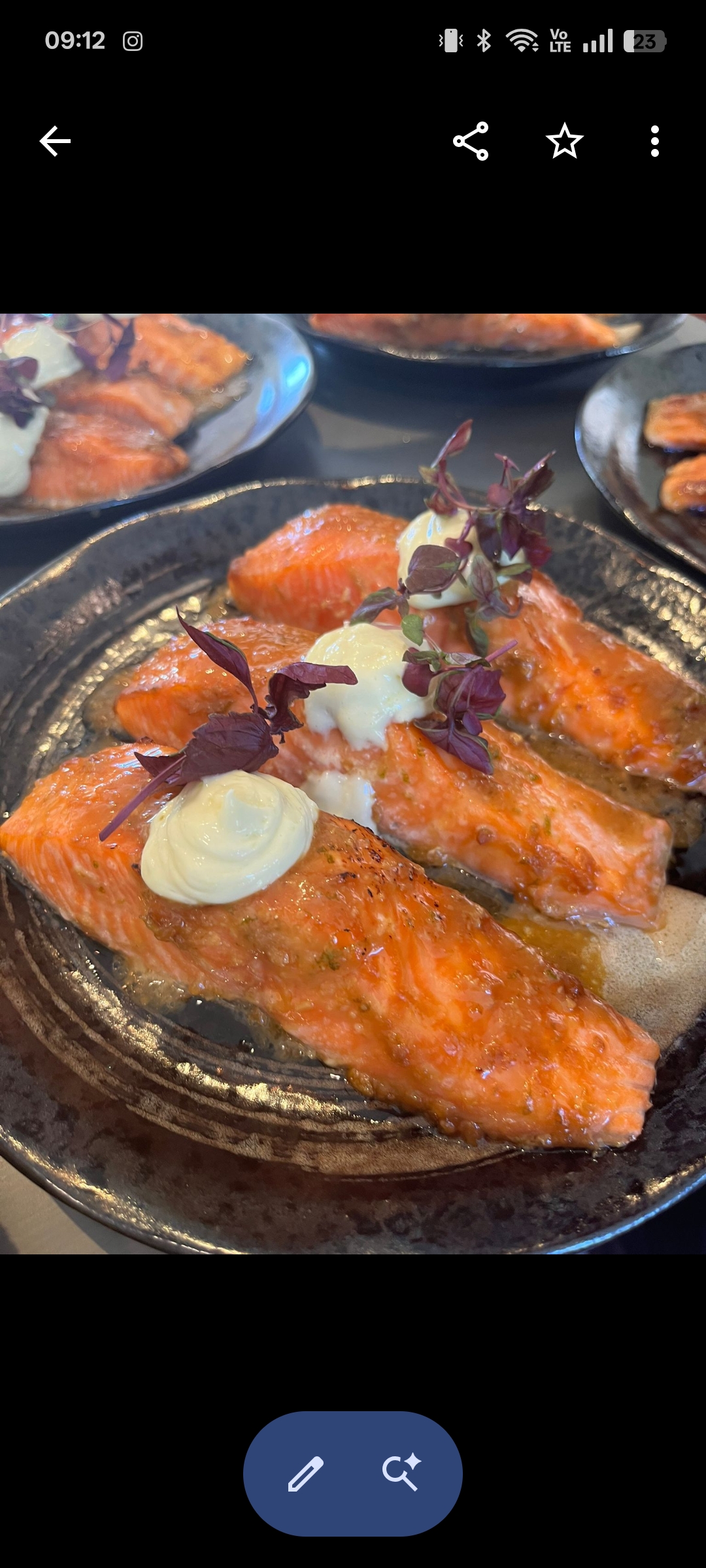 Ant North gallery photo 16